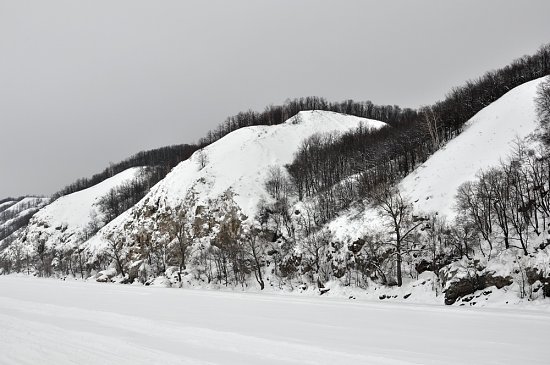 Нажмите на изображение для увеличения. 

Название:	DSC_5794_1.jpg 
Просмотров:	813 
Размер:	77.8 Кб 
ID:	2807