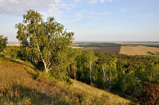 Нажмите на изображение для увеличения. 

Название:	DSC_6319_1.jpg 
Просмотров:	369 
Размер:	269.6 Кб 
ID:	4629