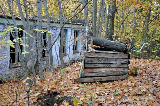 Нажмите на изображение для увеличения. 

Название:	DSC_6810_1.jpg 
Просмотров:	422 
Размер:	343.4 Кб 
ID:	4738