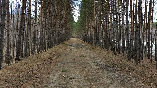 Нажмите на изображение для увеличения. 

Название:	20170416_141131.jpg 
Просмотров:	446 
Размер:	128.6 Кб 
ID:	5347