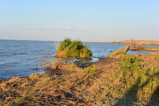 Нажмите на изображение для увеличения. 

Название:	DSC_1846_sc.jpg 
Просмотров:	193 
Размер:	108.2 Кб 
ID:	5863