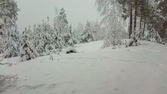 Нажмите на изображение для увеличения. 

Название:	IMG_20180204_093528.jpg 
Просмотров:	505 
Размер:	156.7 Кб 
ID:	6683