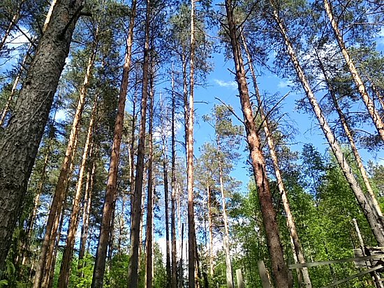 Нажмите на изображение для увеличения. 

Название:	IMG_20180524_145452.jpg 
Просмотров:	843 
Размер:	478.7 Кб 
ID:	7652