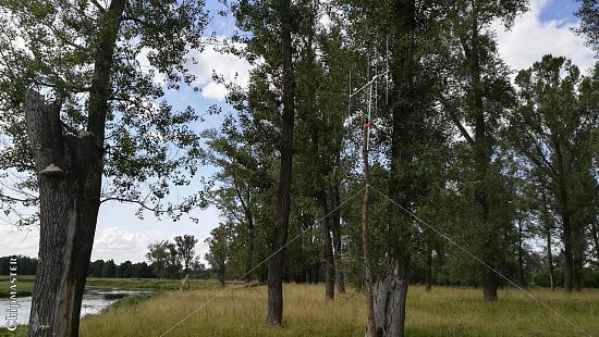 Нажмите на изображение для увеличения. 

Название:	IMG_20190721_172950.jpg 
Просмотров:	876 
Размер:	280.0 Кб 
ID:	8237