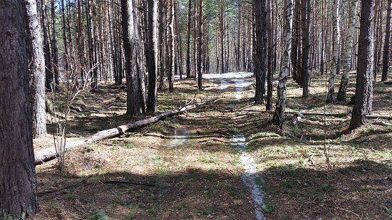 Нажмите на изображение для увеличения. 

Название:	20170423_120129.jpg 
Просмотров:	445 
Размер:	151.7 Кб 
ID:	5379