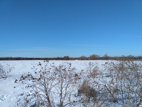 Нажмите на изображение для увеличения. 

Название:	2019-03-02 10-34-32.jpg 
Просмотров:	617 
Размер:	229.9 Кб 
ID:	7820