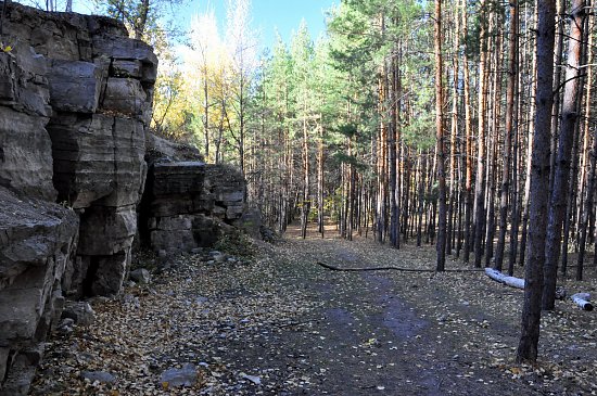 Нажмите на изображение для увеличения. 

Название:	DSC_2775.JPG 
Просмотров:	464 
Размер:	597.2 Кб 
ID:	7734