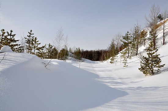 Нажмите на изображение для увеличения. 

Название:	DSC_7056_1.jpg 
Просмотров:	451 
Размер:	166.6 Кб 
ID:	5078