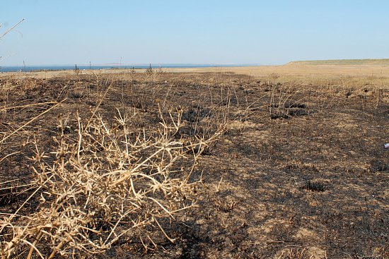 Нажмите на изображение для увеличения. 

Название:	7WBsOhT2F1I.jpg 
Просмотров:	250 
Размер:	140.9 Кб 
ID:	6454