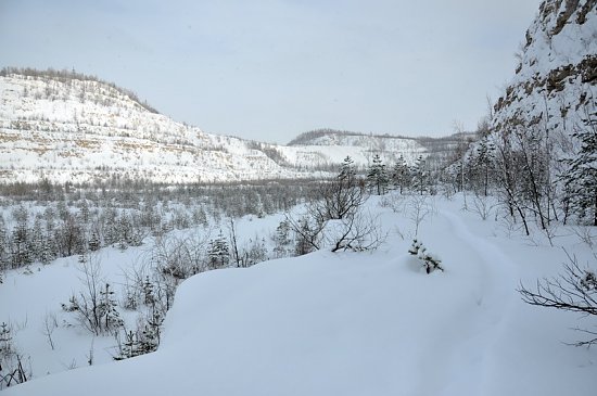 Нажмите на изображение для увеличения. 

Название:	DSC_6988_1.jpg 
Просмотров:	433 
Размер:	182.5 Кб 
ID:	5064