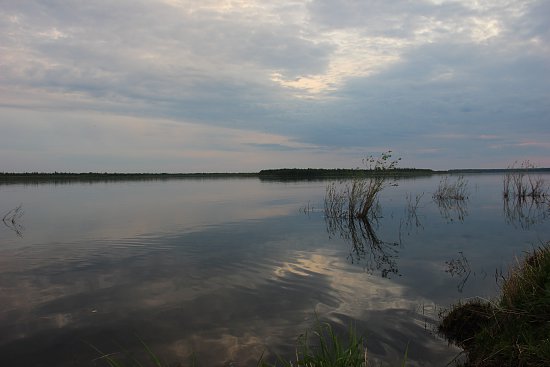 Нажмите на изображение для увеличения. 

Название:	IMG_0772.jpg 
Просмотров:	599 
Размер:	44.7 Кб 
ID:	3346