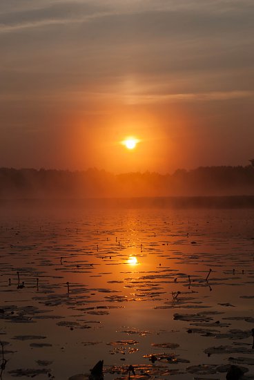 Нажмите на изображение для увеличения. 

Название:	DSC_3249.jpg 
Просмотров:	367 
Размер:	88.2 Кб 
ID:	8090