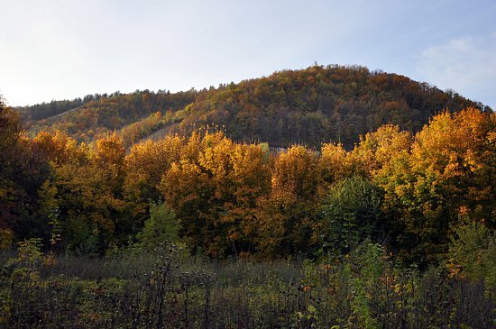 Нажмите на изображение для увеличения. 

Название:	DSC_6812_1.jpg 
Просмотров:	432 
Размер:	246.1 Кб 
ID:	4743