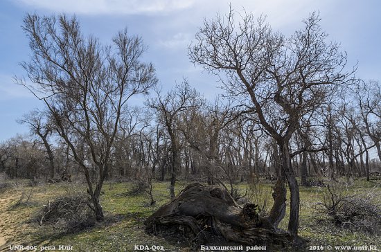 Нажмите на изображение для увеличения. 

Название:	DSC_2361-1.jpg 
Просмотров:	250 
Размер:	129.9 Кб 
ID:	3321